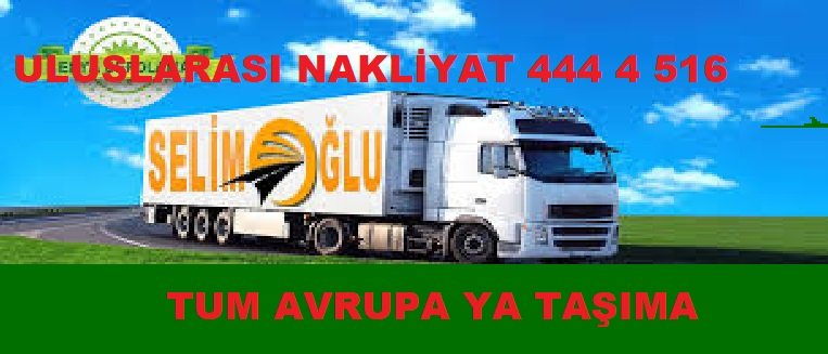 Uluslararası Evden Eve Nakliyat