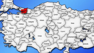 Kocaeli Evden Eve Nakliyat